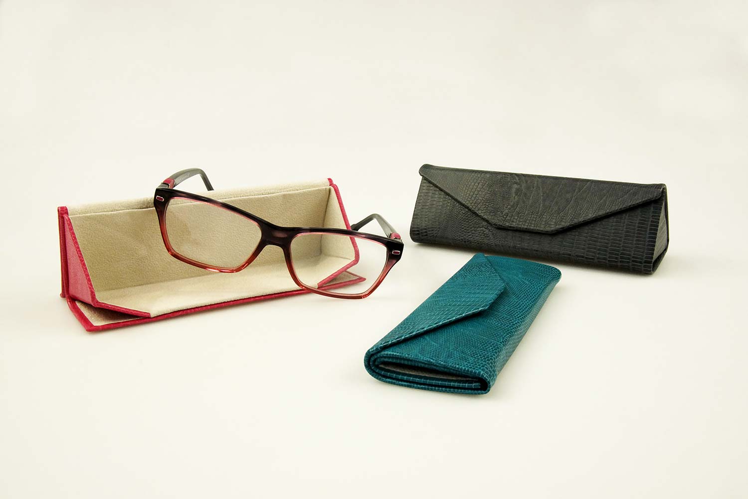Eyeglass Case a Resource for your Optical Store Fedon Group